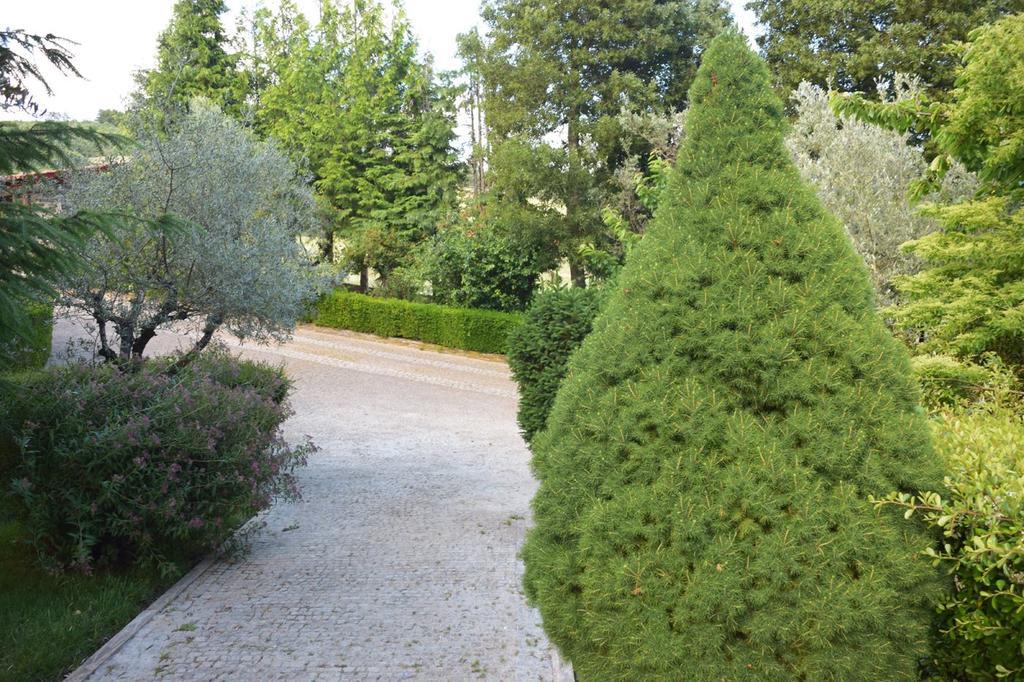 Quinta Da Boa Ventura Hotel Braganca Bagian luar foto