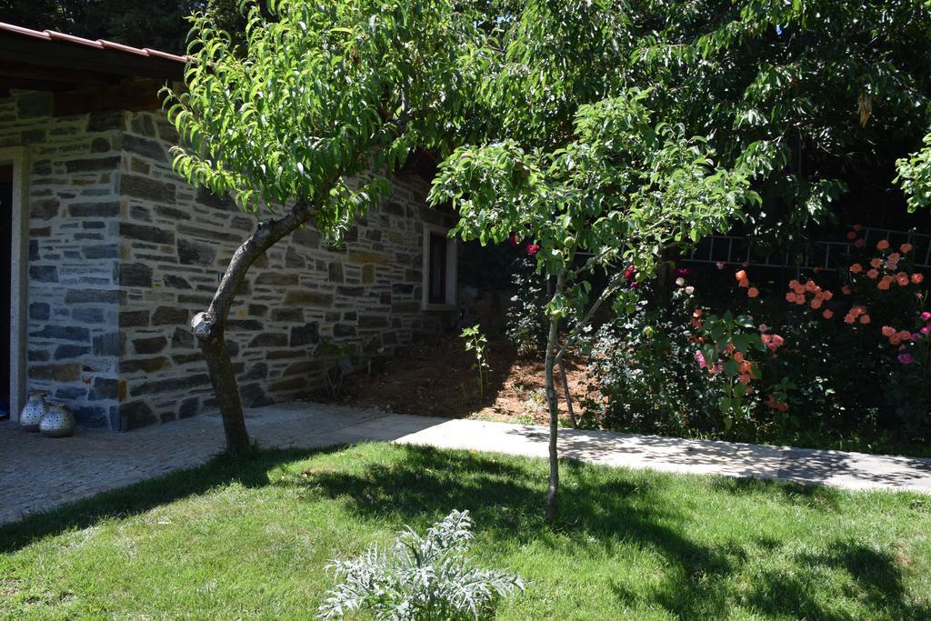 Quinta Da Boa Ventura Hotel Braganca Bagian luar foto