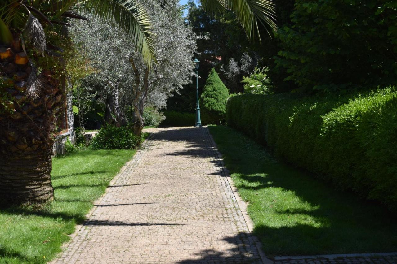 Quinta Da Boa Ventura Hotel Braganca Bagian luar foto